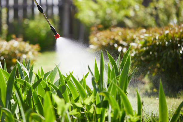 24/7 Emergency Cockroach Control experts in Danville, IA