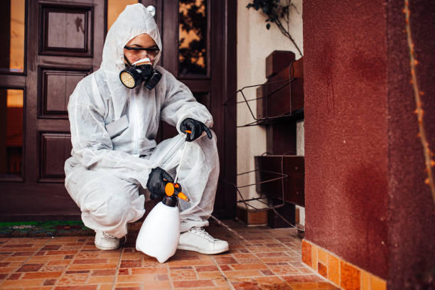 Reliable Cockroach Control contractor in Danville, IA by Nex Pest Control
